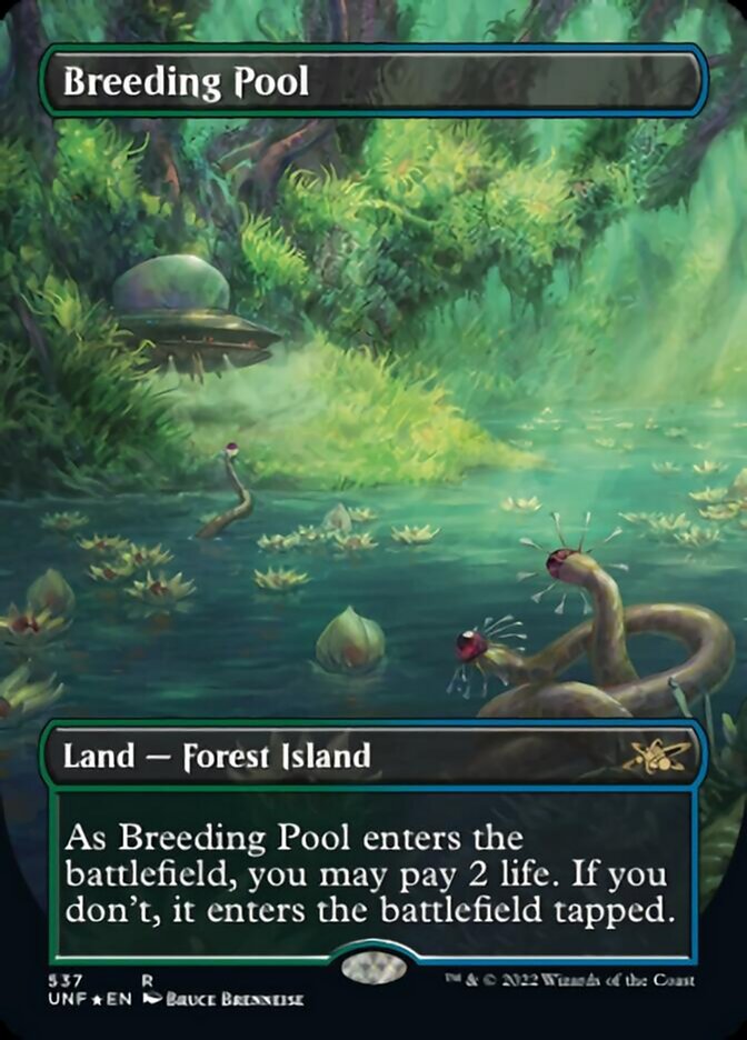 Breeding Pool (Borderless) (Galaxy Foil) [Unfinity] | Gear Gaming Fayetteville