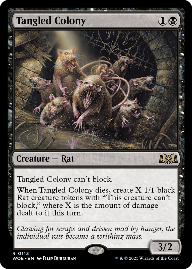 Tangled Colony [Wilds of Eldraine] | Gear Gaming Fayetteville
