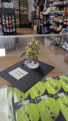 Used Death Guard Icon Bearer | Gear Gaming Fayetteville