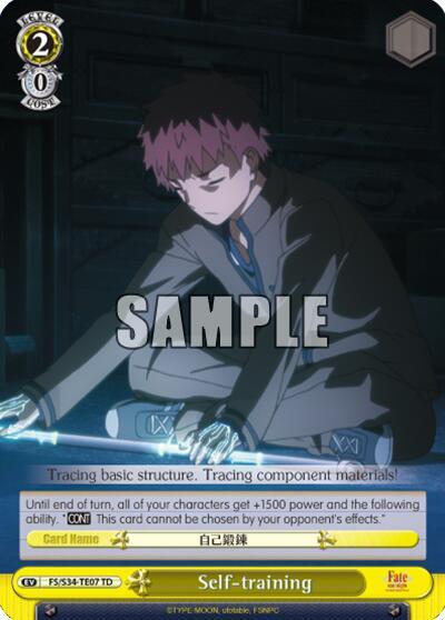 Self-training (TD) - [Fate/stay night [Unlimited Blade Works]] | Gear Gaming Fayetteville