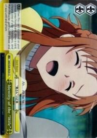 Identity of the "Wife" - [Sword Art Online Vol.2] | Gear Gaming Fayetteville