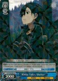 Kirito Takes Shelter - [Sword Art Online Vol.2] | Gear Gaming Fayetteville