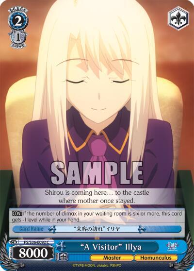 "A Visitor" Illya - [Fate/stay night [Unlimited Blade Works] Vol. II] | Gear Gaming Fayetteville