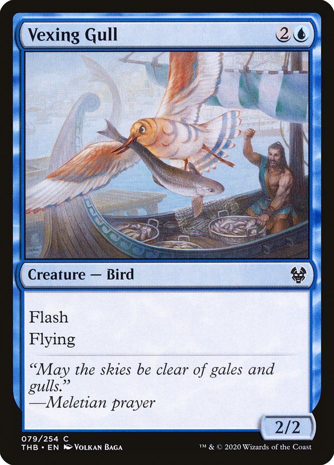 Vexing Gull [Theros Beyond Death] | Gear Gaming Fayetteville