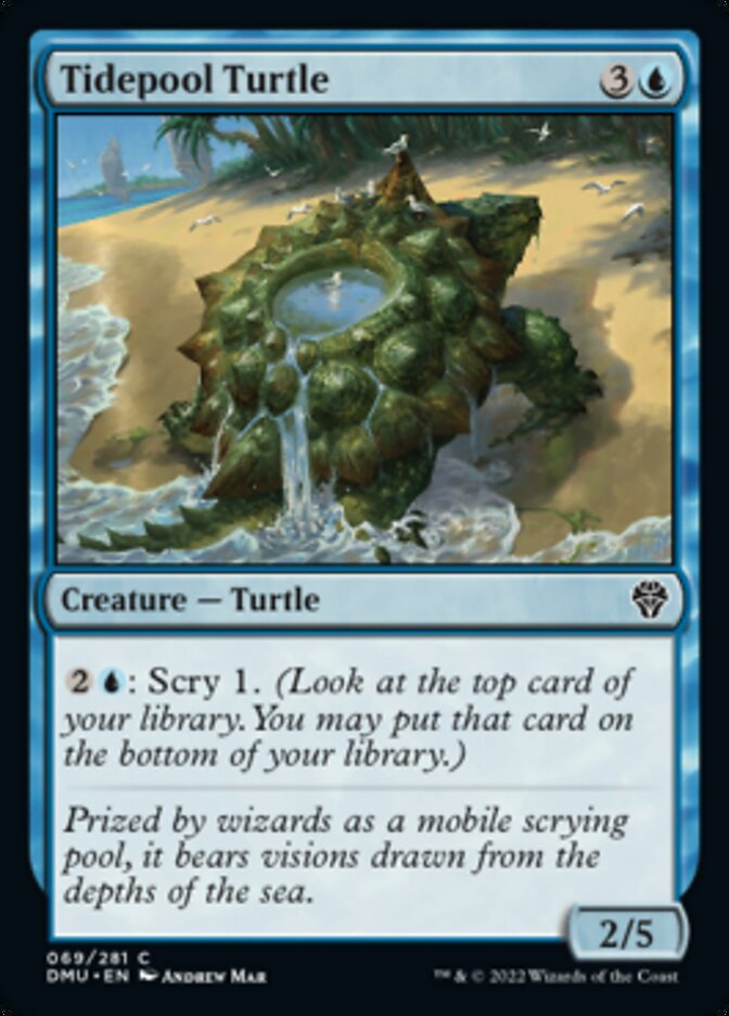 Tidepool Turtle [Dominaria United] | Gear Gaming Fayetteville