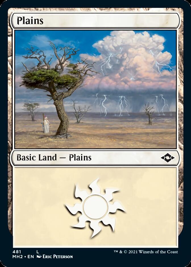 Plains (481) (Foil Etched) [Modern Horizons 2] | Gear Gaming Fayetteville