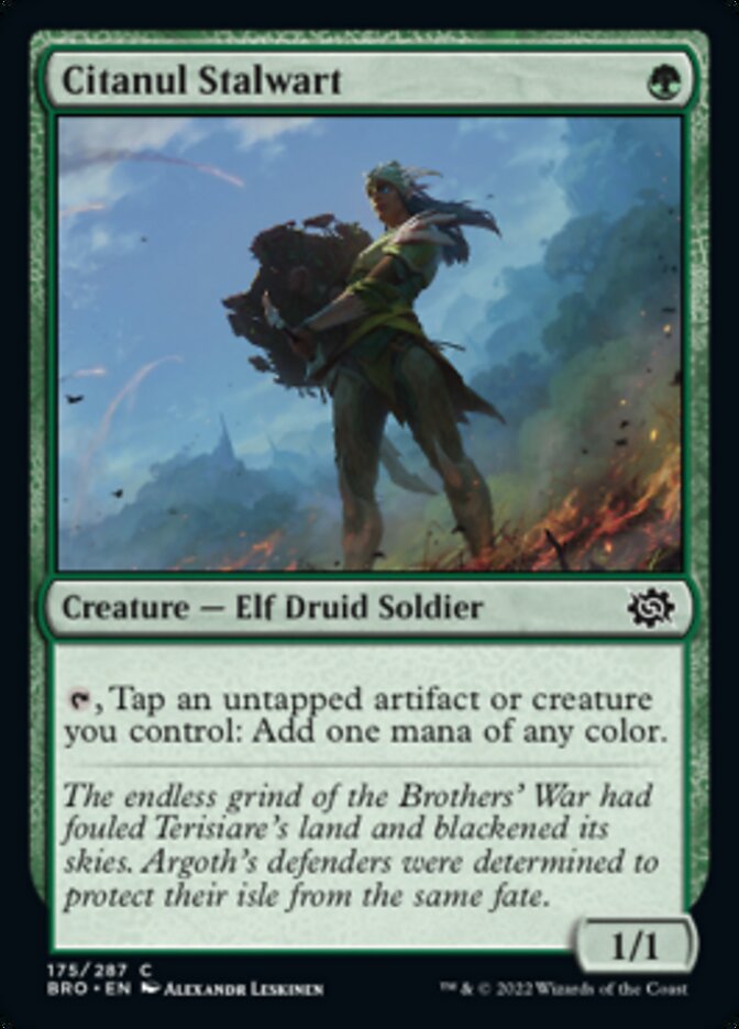 Citanul Stalwart [The Brothers' War] | Gear Gaming Fayetteville