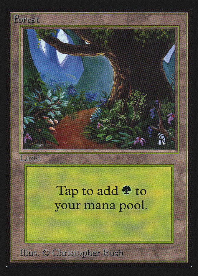 Forest (Flower Path) [Collectors' Edition] | Gear Gaming Fayetteville