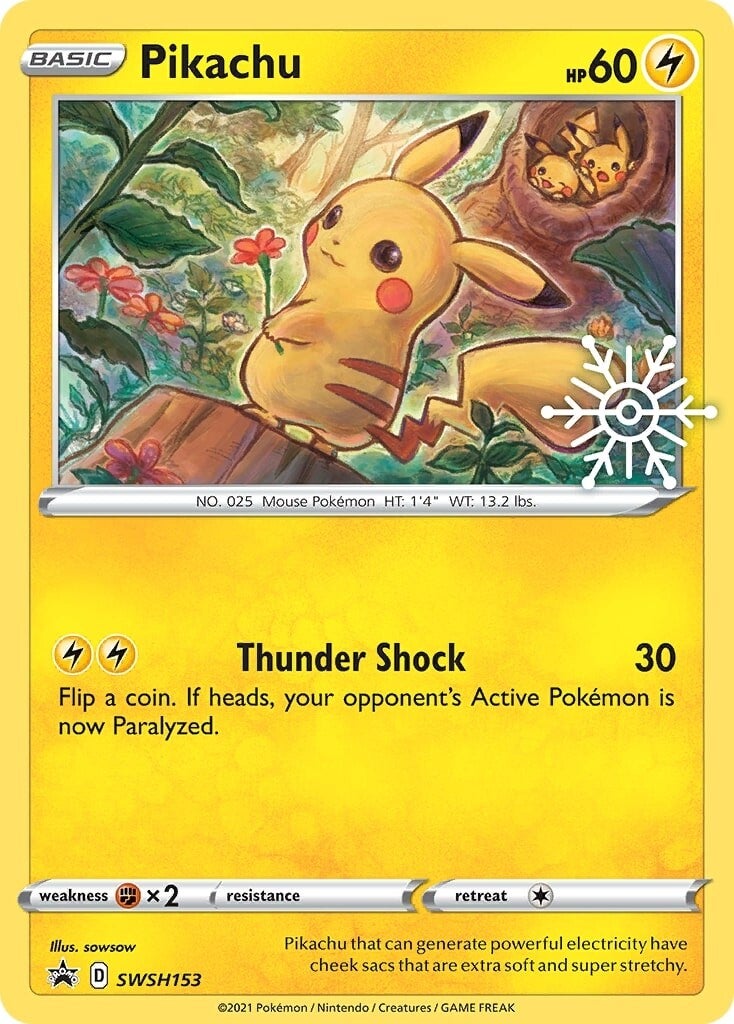 Pikachu (SWSH153) (Holiday Calendar) [Sword & Shield: Black Star Promos] | Gear Gaming Fayetteville