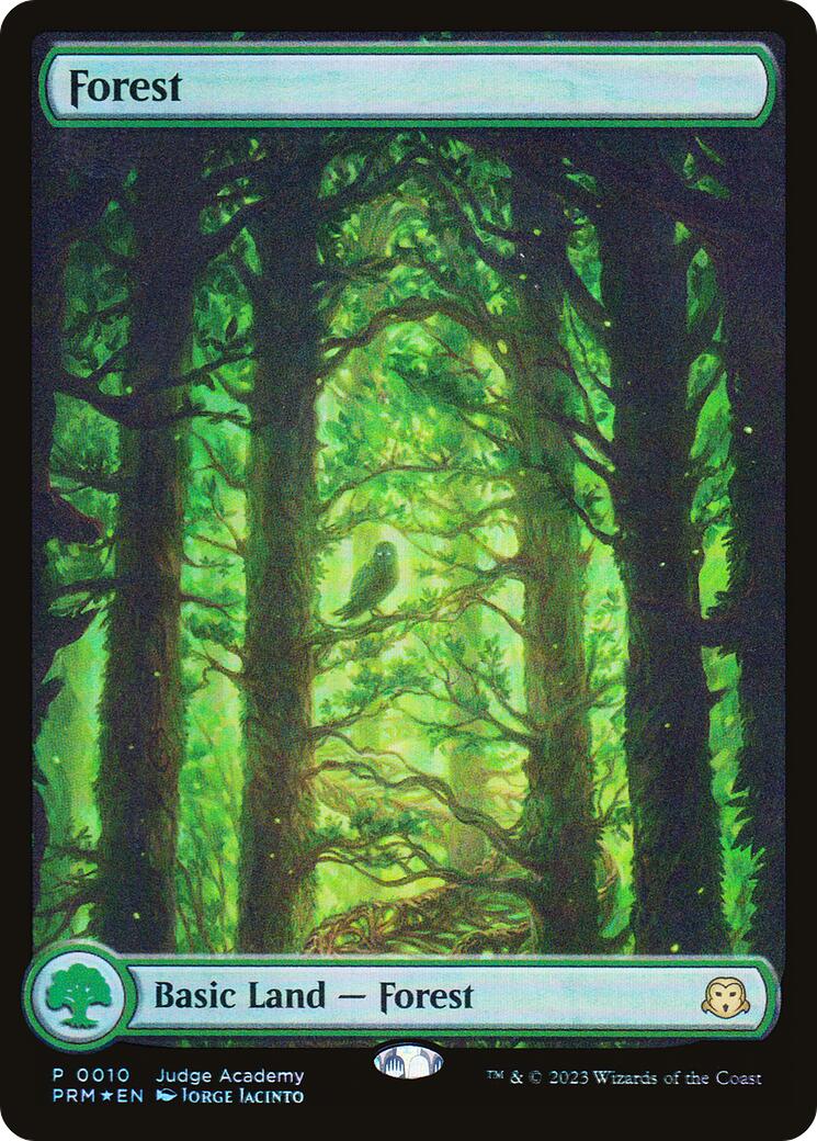 Forest [Judge Gift Cards 2023] | Gear Gaming Fayetteville
