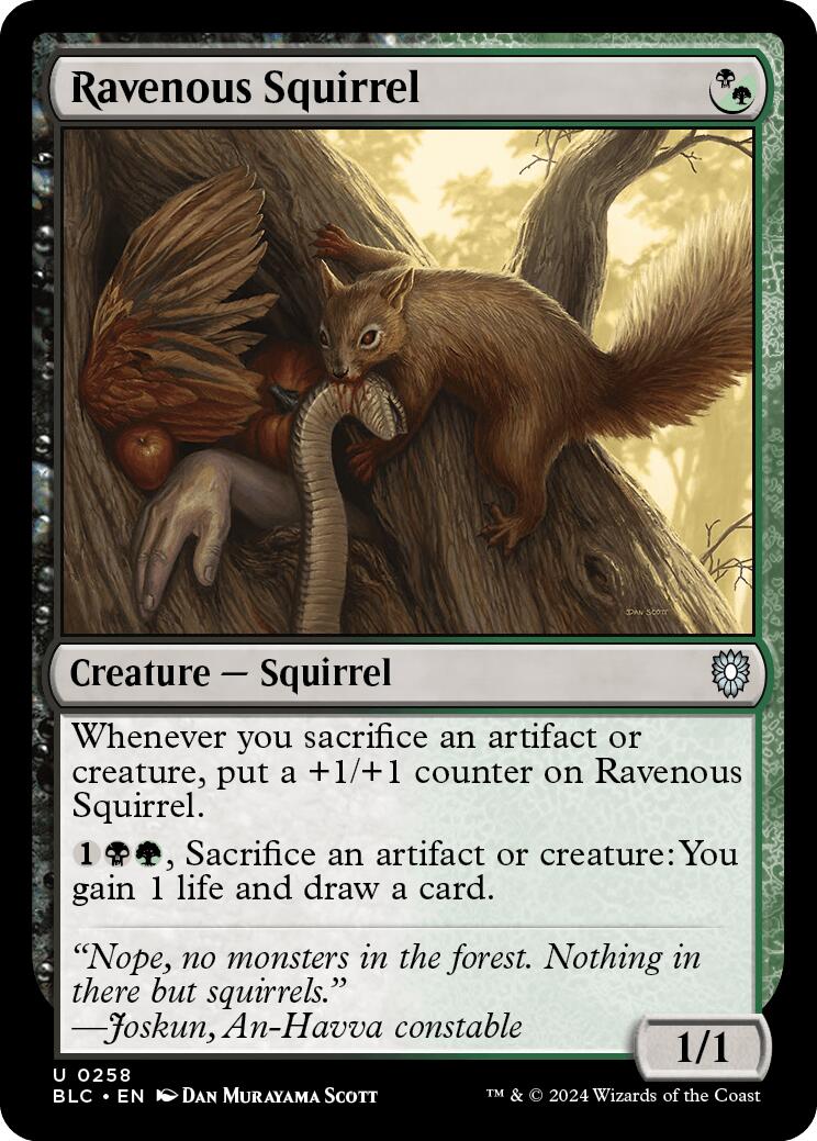 Ravenous Squirrel [Bloomburrow Commander] | Gear Gaming Fayetteville