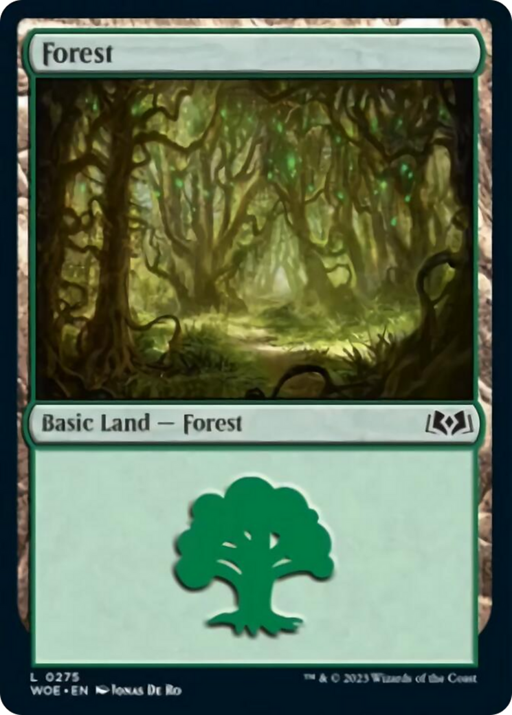 Forest (0275) [Wilds of Eldraine] | Gear Gaming Fayetteville