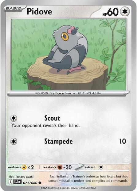Pidove (071/086) [Scarlet & Violet: Black Bolt] | Gear Gaming Fayetteville