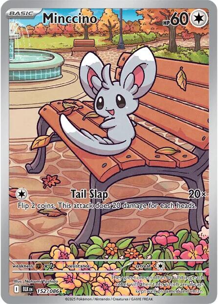 Minccino (152/086) [Scarlet & Violet: Black Bolt] | Gear Gaming Fayetteville