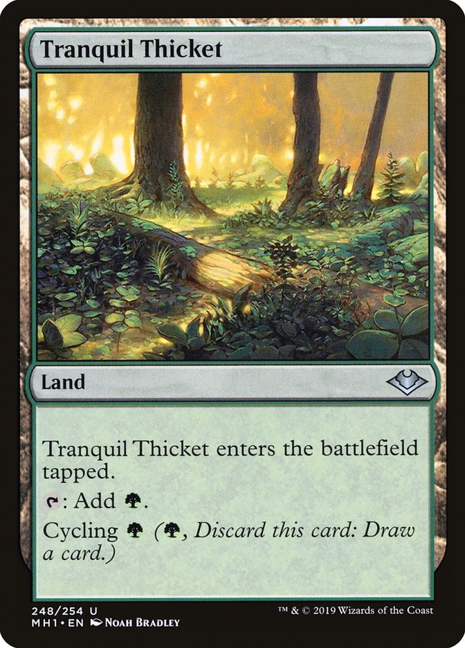 Tranquil Thicket [Modern Horizons] | Gear Gaming Fayetteville