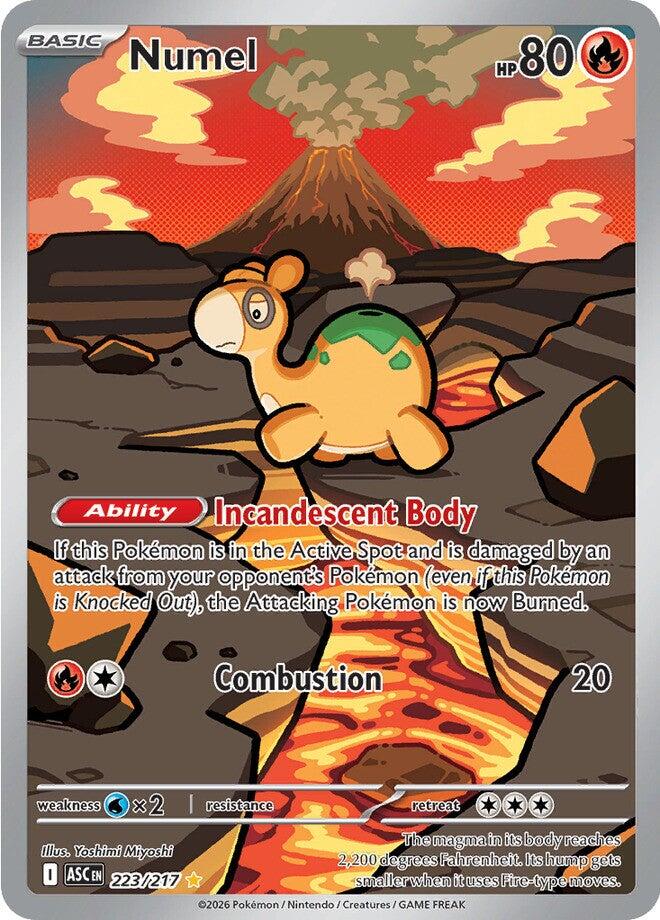 Numel (223/217) [Mega Evolution: Ascended Heroes] | Gear Gaming Fayetteville