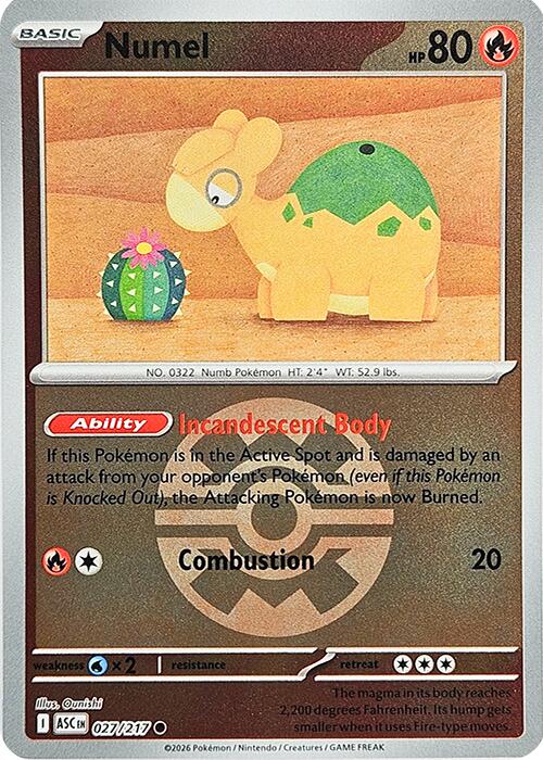 Numel (027/217) (Quick Ball) [Mega Evolution: Ascended Heroes] | Gear Gaming Fayetteville