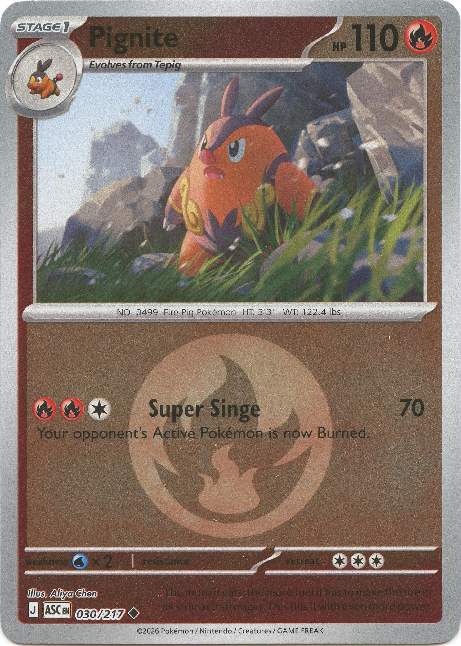 Pignite (030/217) (Energy Symbol Pattern) [Mega Evolution: Ascended Heroes] | Gear Gaming Fayetteville