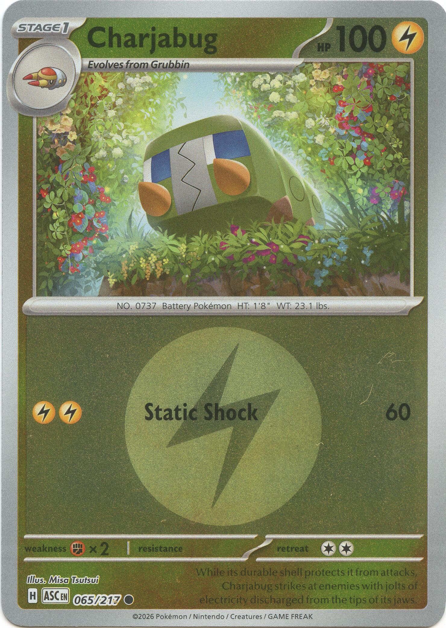Charjabug (065/217) (Energy Symbol Pattern) [Mega Evolution: Ascended Heroes] | Gear Gaming Fayetteville