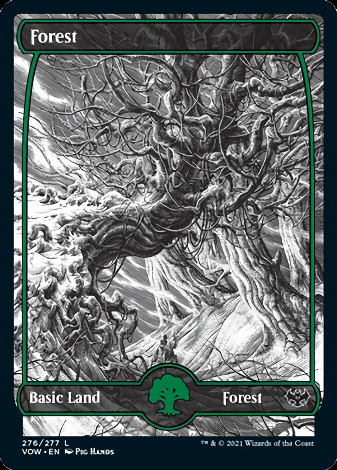 Forest (276) [Innistrad: Crimson Vow] | Gear Gaming Fayetteville