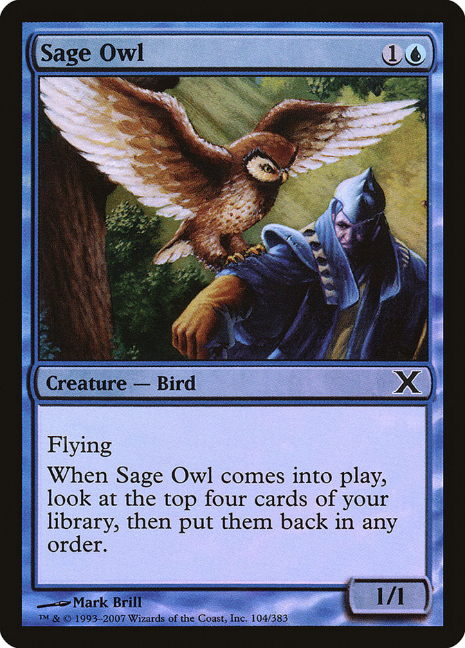Sage Owl (Premium Foil) [Tenth Edition] | Gear Gaming Fayetteville
