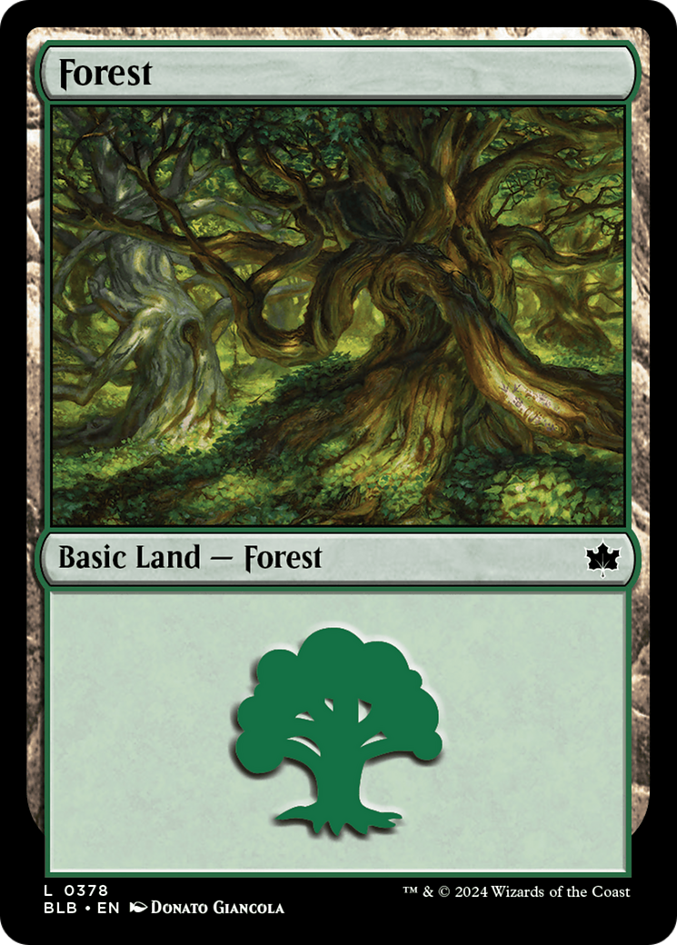 Forest (0378) [Bloomburrow] | Gear Gaming Fayetteville