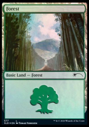 Forest (Walls) (577) [Secret Lair Drop Promos] | Gear Gaming Fayetteville