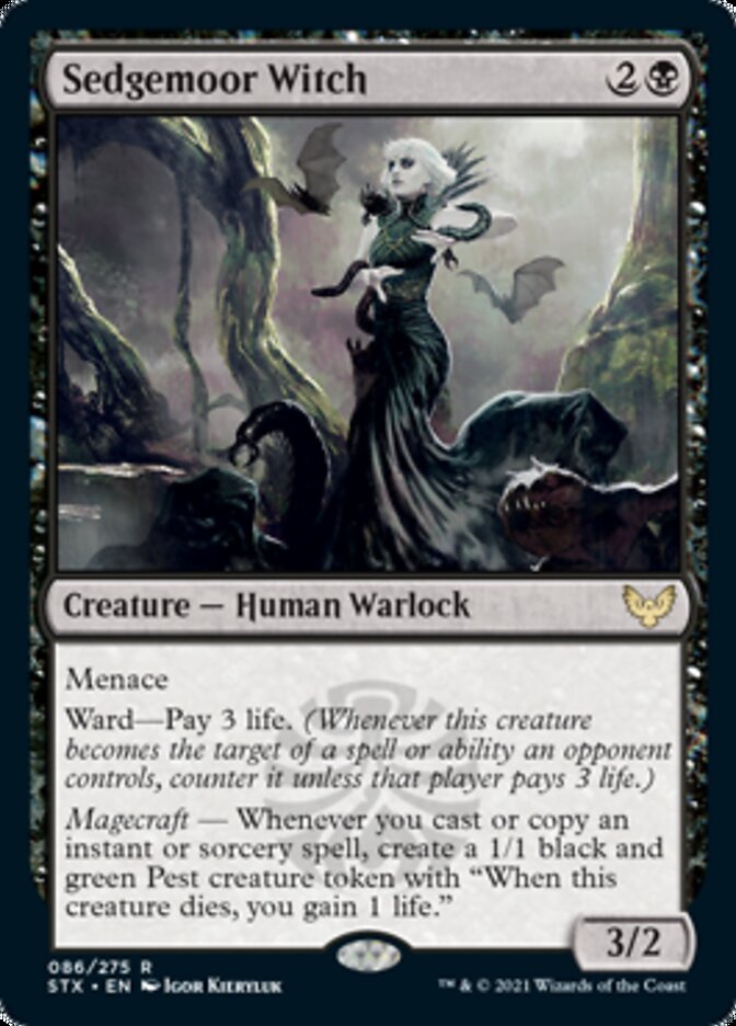 Sedgemoor Witch [Strixhaven: School of Mages] | Gear Gaming Fayetteville