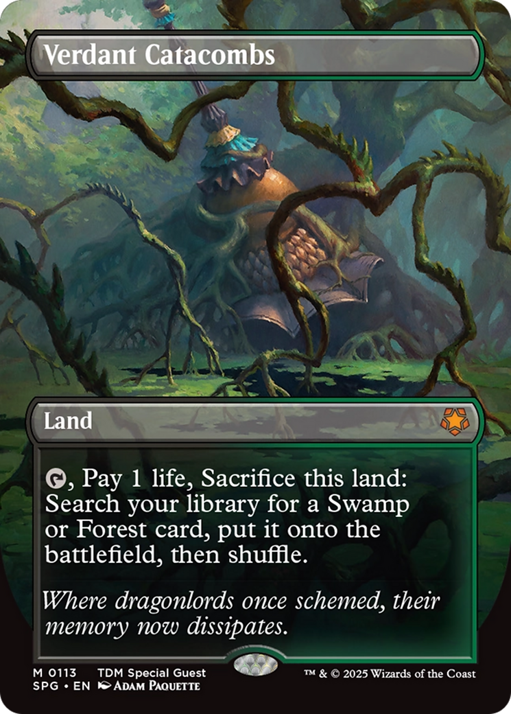 Verdant Catacombs (Borderless) [Tarkir: Dragonstorm Special Guests] | Gear Gaming Fayetteville