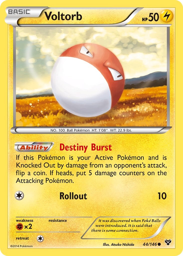 Voltorb (44/146) [XY: Base Set] | Gear Gaming Fayetteville