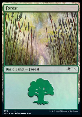 Forest (Elves) (579) [Secret Lair Drop Promos] | Gear Gaming Fayetteville