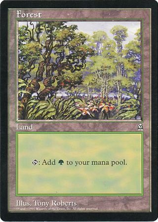 Forest (Oversized) [Oversize Cards] | Gear Gaming Fayetteville