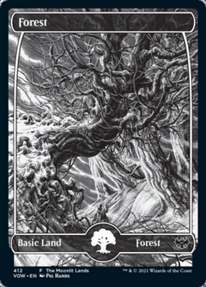 Forest (The Moonlit Lands) (Foil Etched) [Innistrad: Crimson Vow Promos] | Gear Gaming Fayetteville