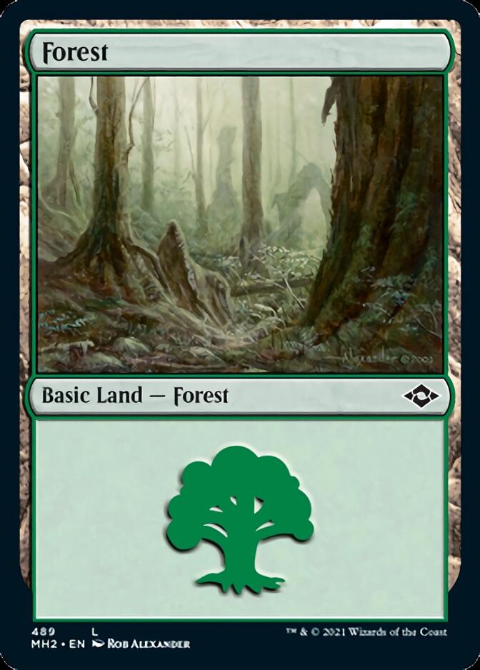 Forest (489) [Modern Horizons 2] | Gear Gaming Fayetteville