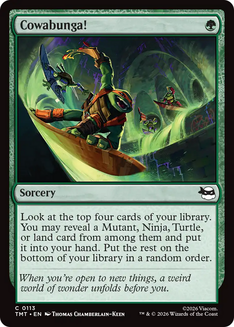 Cowabunga! [Teenage Mutant Ninja Turtles] | Gear Gaming Fayetteville