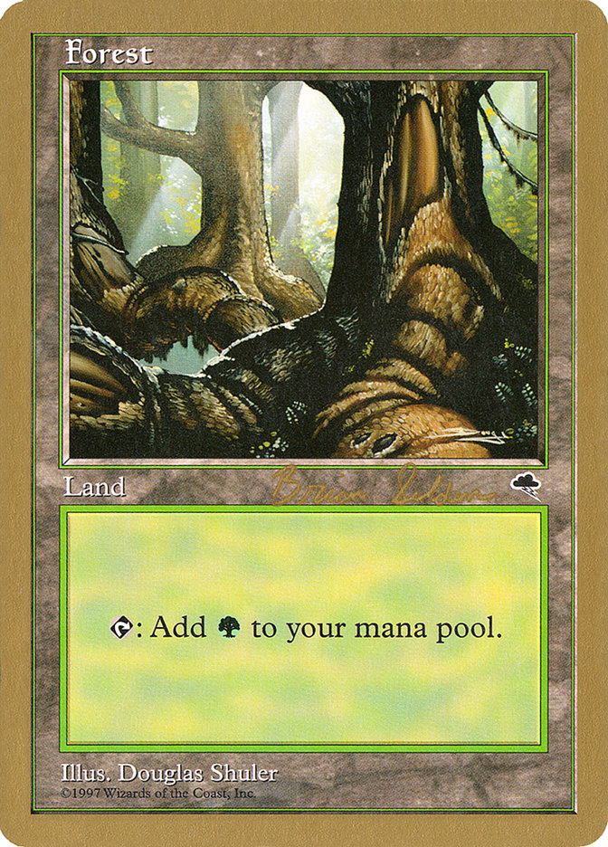 Forest (bs348) (Brian Selden) [World Championship Decks 1998] | Gear Gaming Fayetteville