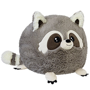 Squishable Raccoon | Gear Gaming Fayetteville