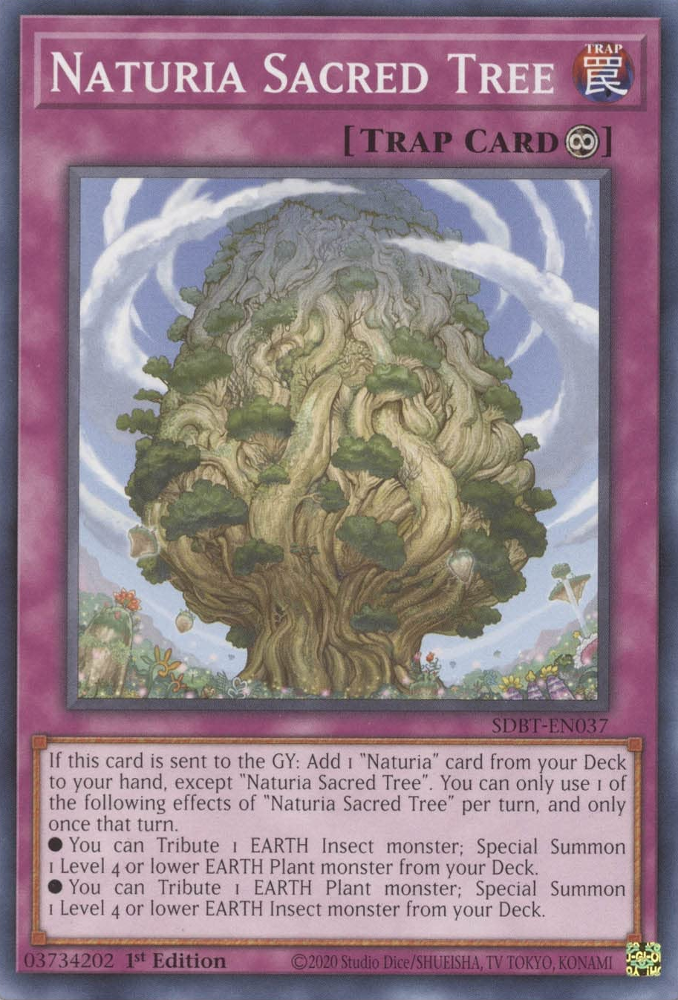 Naturia Sacred Tree [SDBT-EN037] Common | Gear Gaming Fayetteville