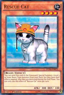 Rescue Cat [Duelist Saga] [DUSA-EN072] | Gear Gaming Fayetteville