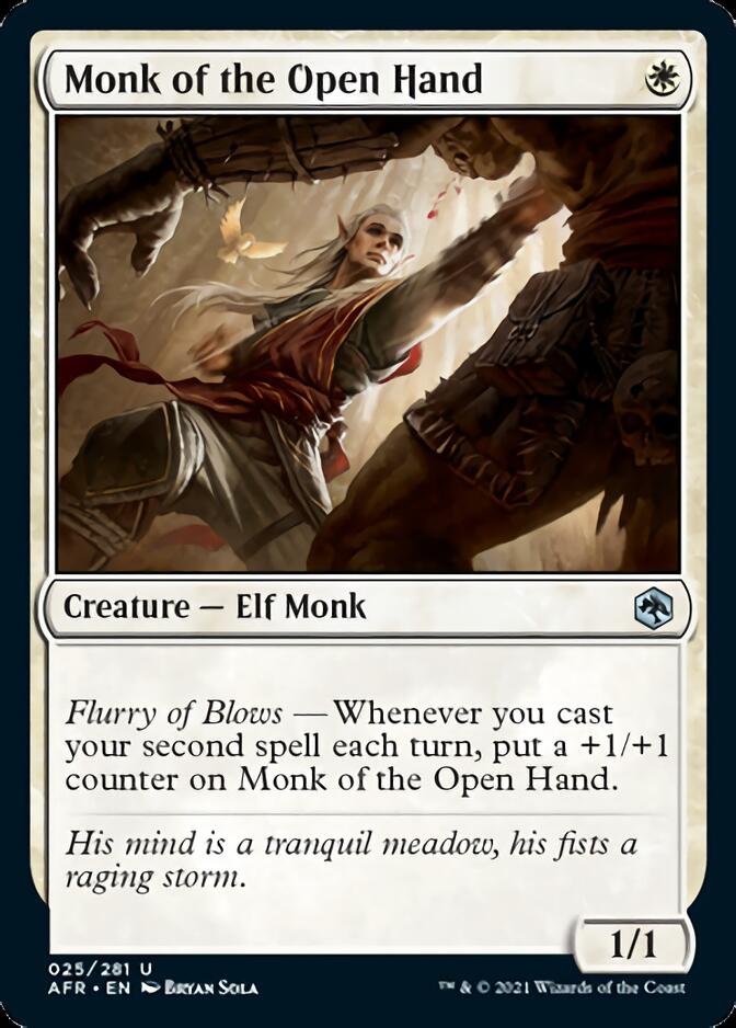 Monk of the Open Hand [Dungeons & Dragons: Adventures in the Forgotten Realms] | Gear Gaming Fayetteville