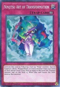 Ninjitsu Art of Transformation [Shadows in Valhalla] [SHVA-EN028] | Gear Gaming Fayetteville