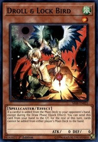 Droll & Lock Bird [Structure Deck: Order of the Spellcasters] [SR08-EN021] | Gear Gaming Fayetteville