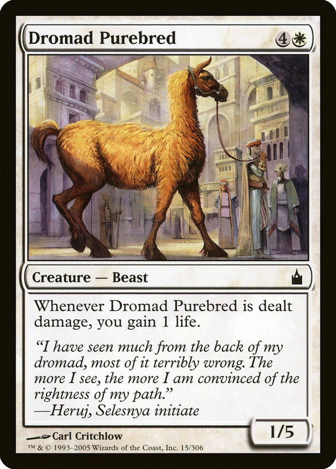 Dromad Purebred [Ravnica: City of Guilds] | Gear Gaming Fayetteville