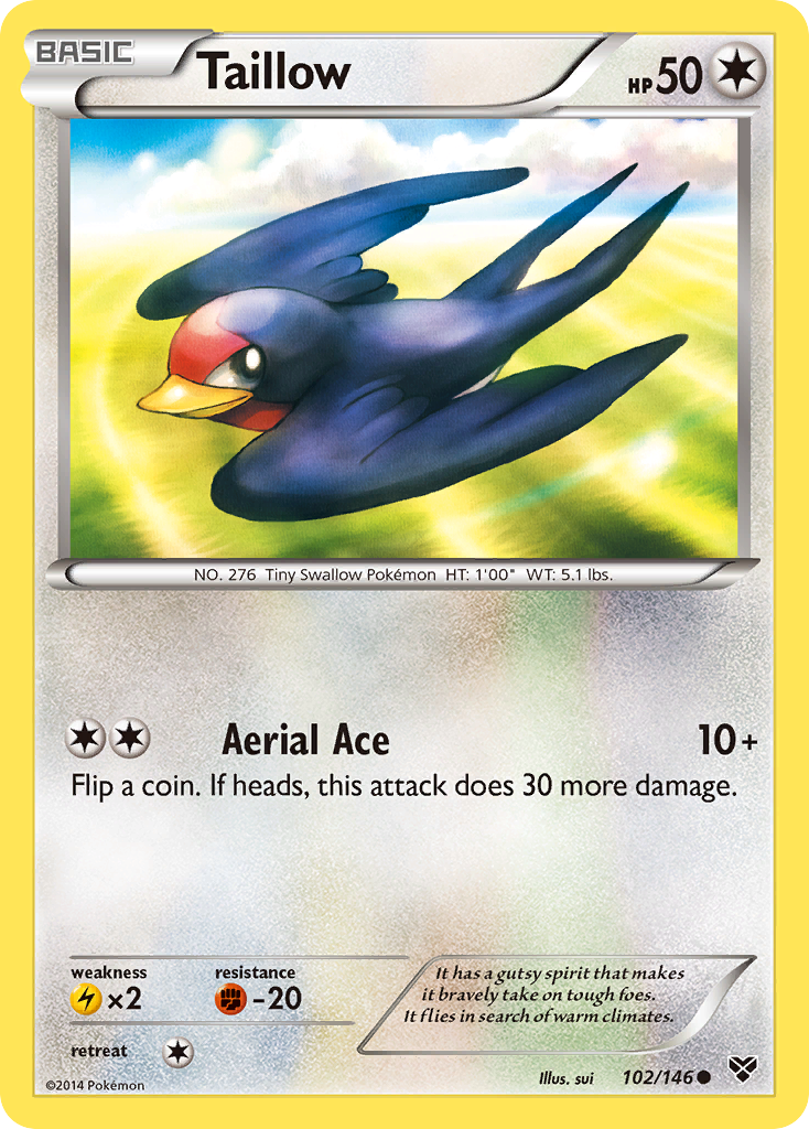 Taillow (102/146) [XY: Base Set] | Gear Gaming Fayetteville