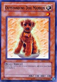 Outstanding Dog Marron [Dark Revelation Volume 1] [DR1-EN224] | Gear Gaming Fayetteville