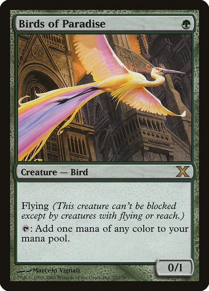 Birds of Paradise [Tenth Edition] | Gear Gaming Fayetteville