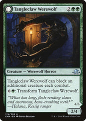 Tangleclaw Werewolf // Fibrous Entangler [Eldritch Moon] | Gear Gaming Fayetteville