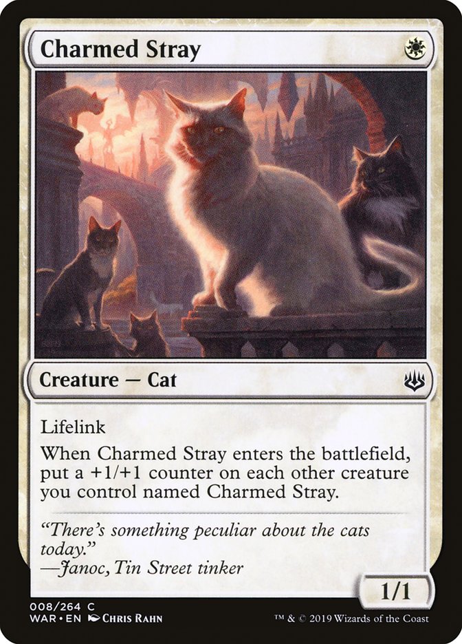 Charmed Stray [War of the Spark] | Gear Gaming Fayetteville