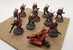 Used Eldar/Aeldari Guardian Defenders | Gear Gaming Fayetteville