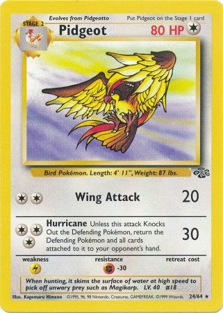 Pidgeot (24/64) [Jungle Unlimited] | Gear Gaming Fayetteville